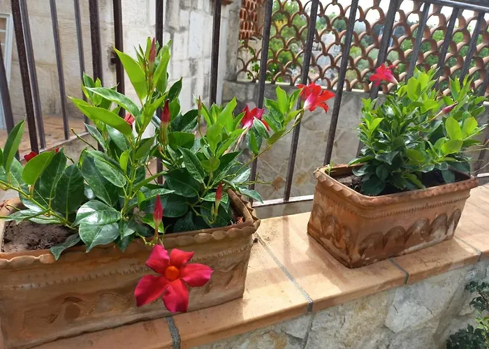 Rossi Polignano a Mare